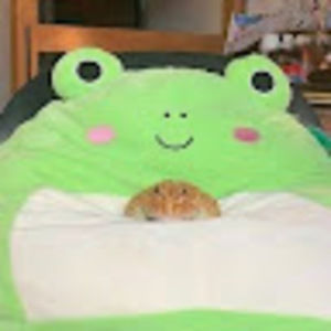 Meet your Posher, Samantha